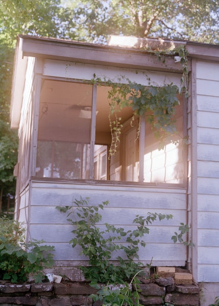 A section of a pink house with leaves growing on it. Sunlight streams through the window.